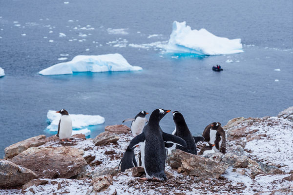 Falklands-Malvinas and Antarctic Peninsula